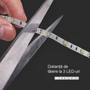 12V LED Strip Light – 120 LEDs/m – SMD5050  – 10mm – 6500k – IP20 – 5m Roll
