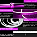 12V Neon Flex LED Strip Light – Pink Light – 8mm – IP65 – 5m Length