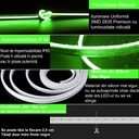 12V Neon Flex LED Strip Light – Green Light – 8mm – IP65 – 5m Length