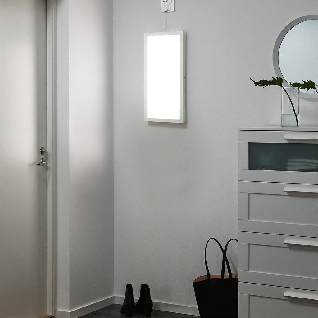 LED Ceiling Light 30x60cm, 40W, 6500k, White, applied 