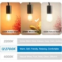 Set of 10 S14 bulbs with E27 socket, 1W