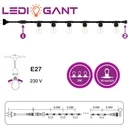 String light and 2 bulb set