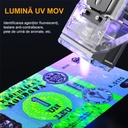 Portable UV LED Flashlight, , USB Type C Charging, 50 m Range, 5W, 3 Light Colors, 1200 mAh, 8 x 2 x 4.2 cm, Transparent Fluorescent