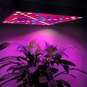 LED lamp 45W, 225 LEDs, 165 Red, 60 Blue, for growing plants indoors, 30 x 30 cm, multicolor