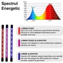 Full Spectrum UV Lamp for Plant Growth – 30W, 3 Flexible Arms, Timer, 9 Intensity Levels