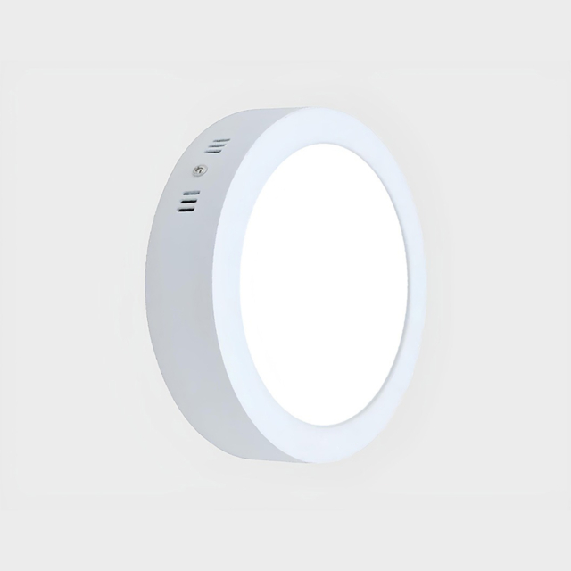 Aplice LED LBZ-00054 01 Plafonieră LED rotundă aplicată 12W, 16cm, lumină rece 6500K, albă