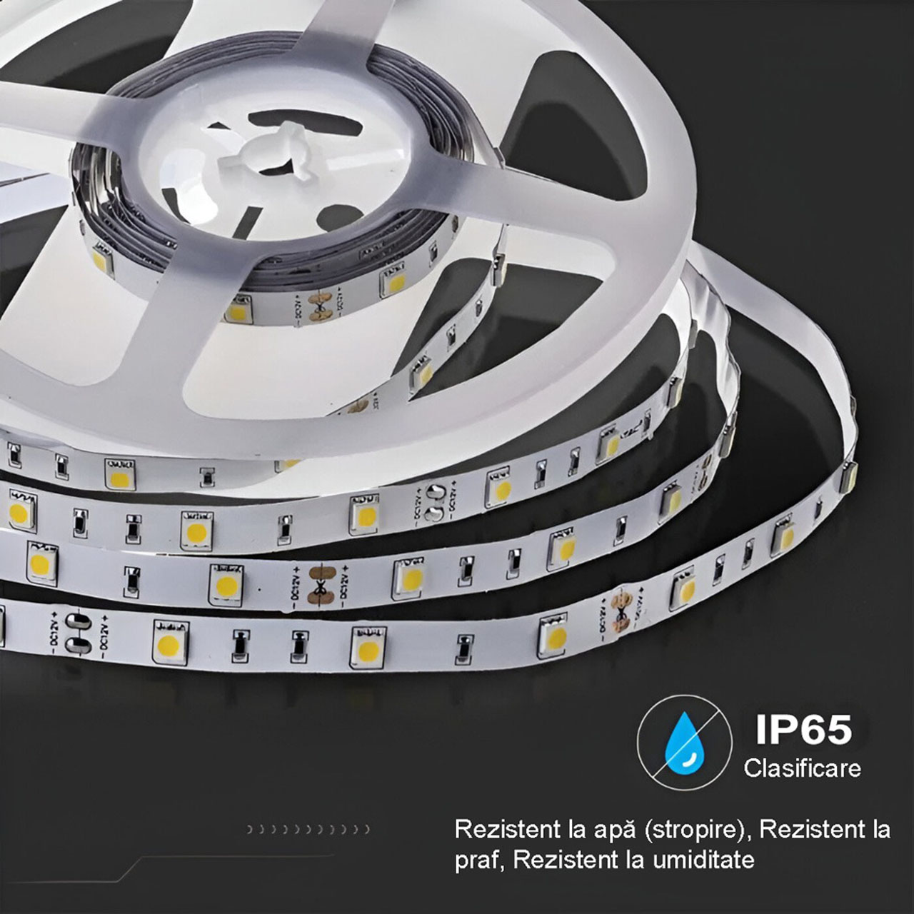 Benzi LED LBZ-00471 05 Banda LED 12V, 60 LED/m, SMD 5050, Lumina Alb-Calda, Exterior IP65, 10mm, Rola 5 metri