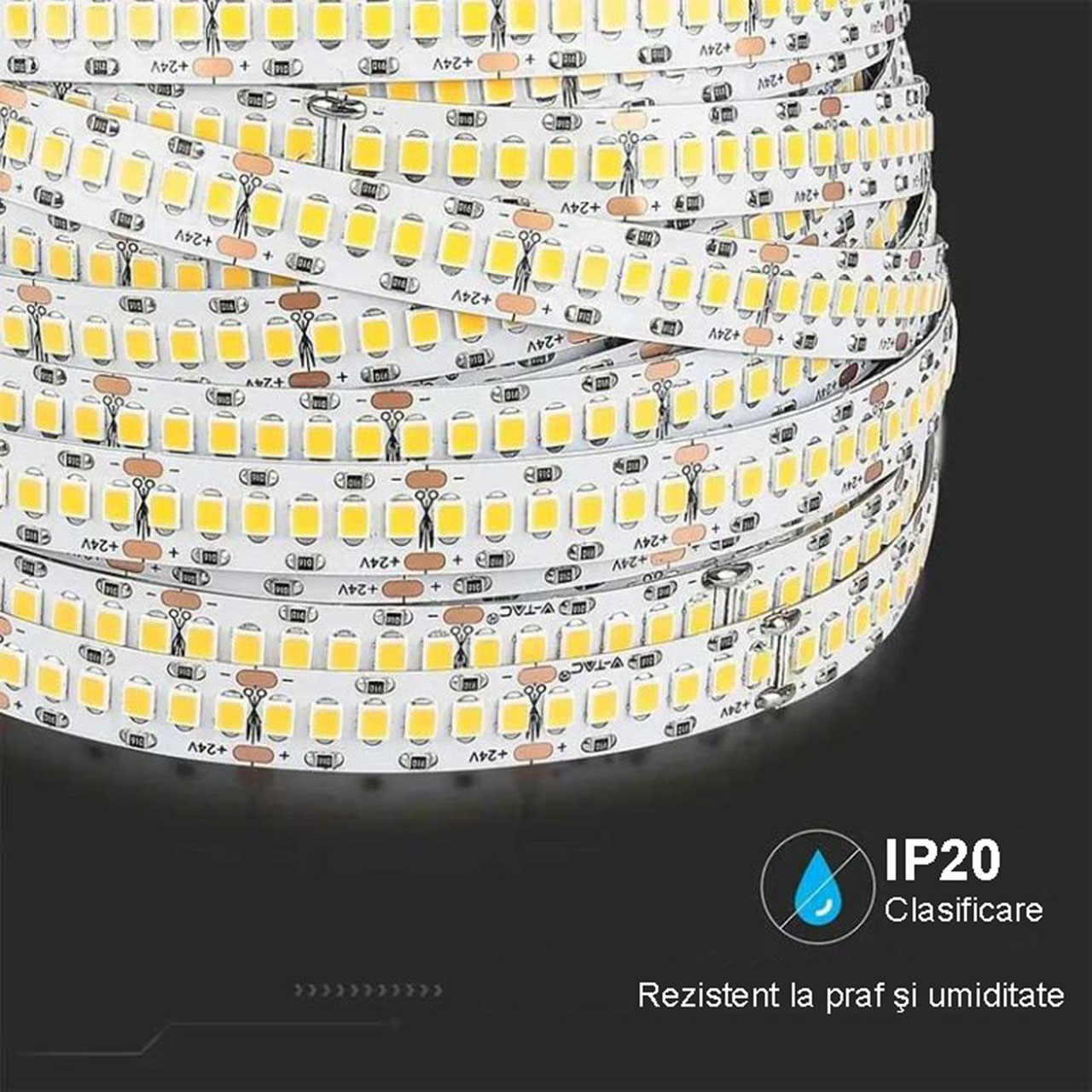 Benzi LED LBZ-00485 05 Banda LED 12V, 240 LED/m, SMD 2835, Lumina Alb-Rece, Interior IP20, 10mm, Rola 5 metri