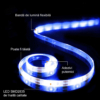 Benzi LED LBZ-00488 02 Banda LED 12V, 120 LED/m, SMD 2835, Lumina Albastra, Interior IP20, 8mm, Rola 5 metri