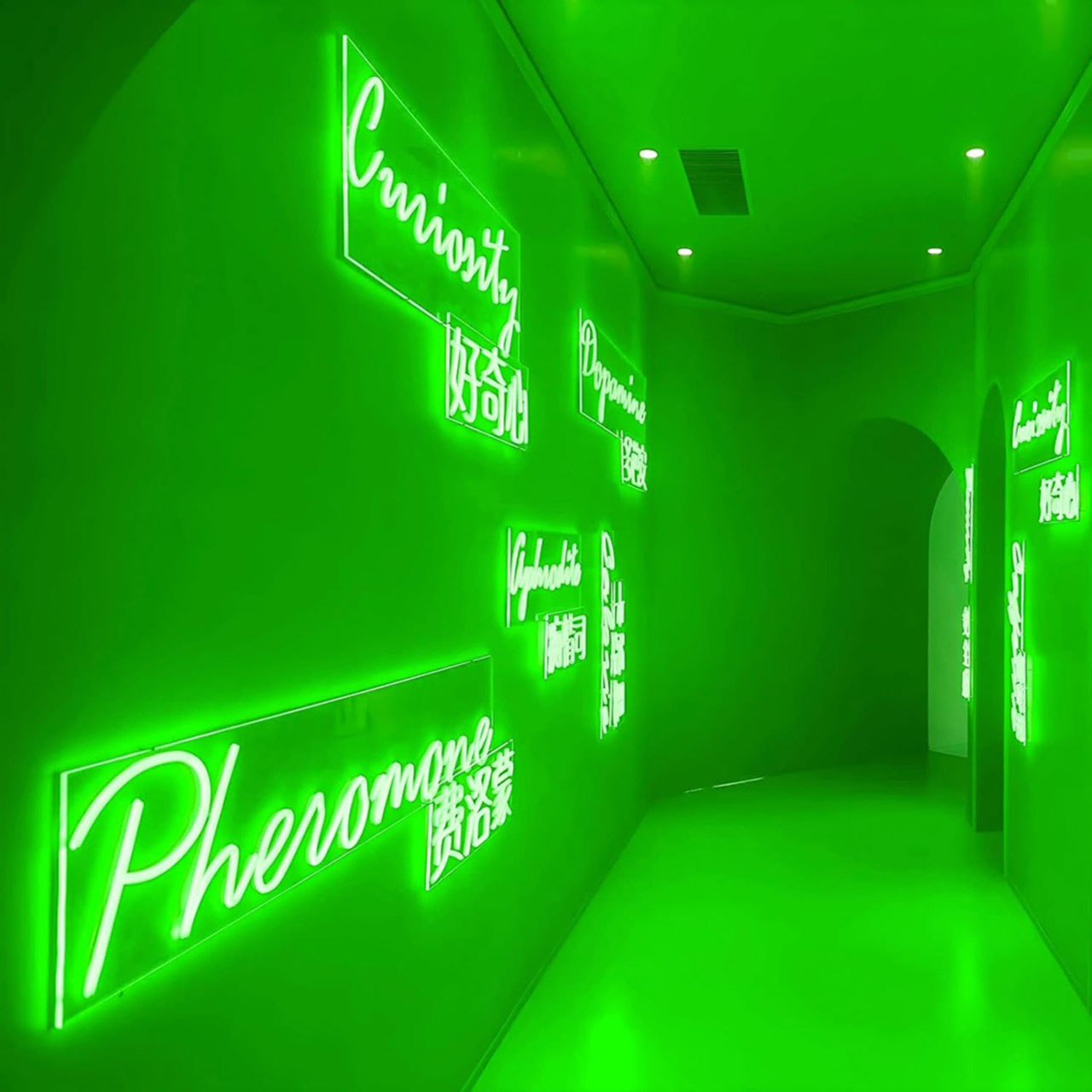 Banda LED Neon Flex 12V, Lumina Verde, Exterior IP65, 8mm, Rola de 5 metri