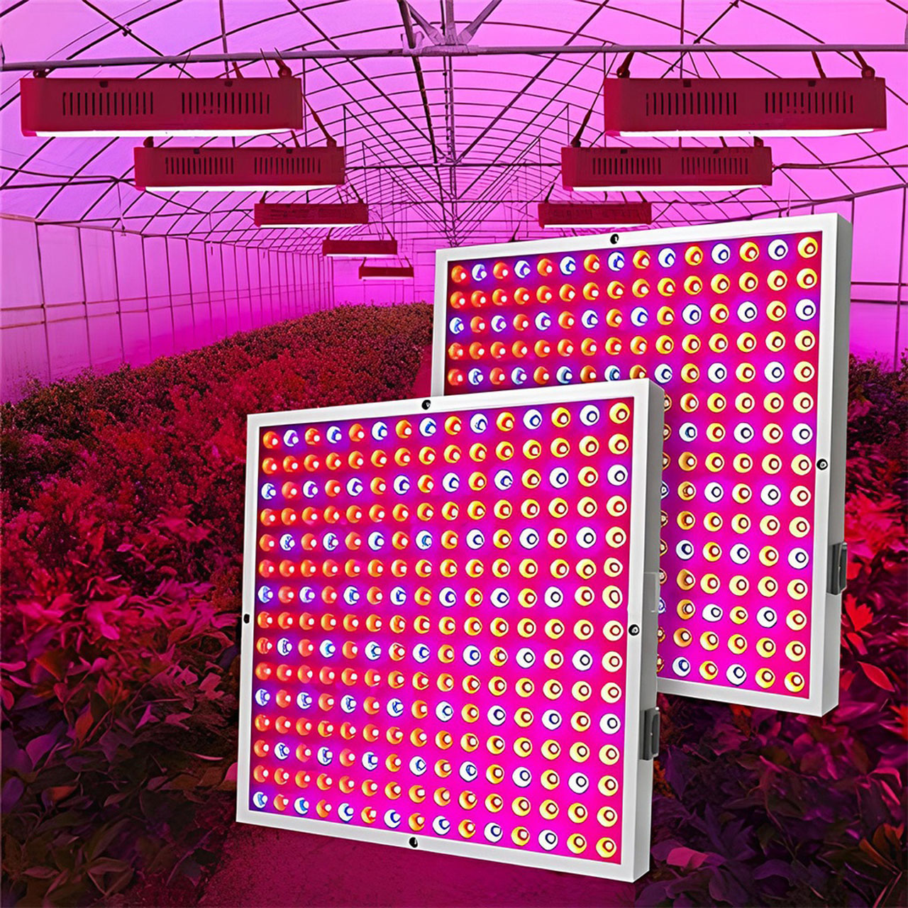 Lampi LED LBZ-00242 01 Lampă LED pentru Creșterea Plantelor, Spectru Complet, 144 LED-uri, 30x30 cm, Panou pentru Răsaduri și Culturi Interior