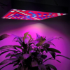 Lampi LED LBZ-00242 05 Lampă LED pentru Creșterea Plantelor, Spectru Complet, 144 LED-uri, 30x30 cm, Panou pentru Răsaduri și Culturi Interior