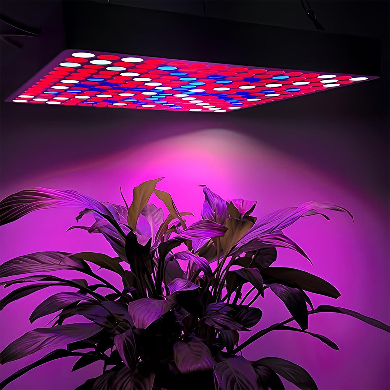 Lampi LED LBZ-00242 05 Lampă LED pentru Creșterea Plantelor, Spectru Complet, 144 LED-uri, 30x30 cm, Panou pentru Răsaduri și Culturi Interior