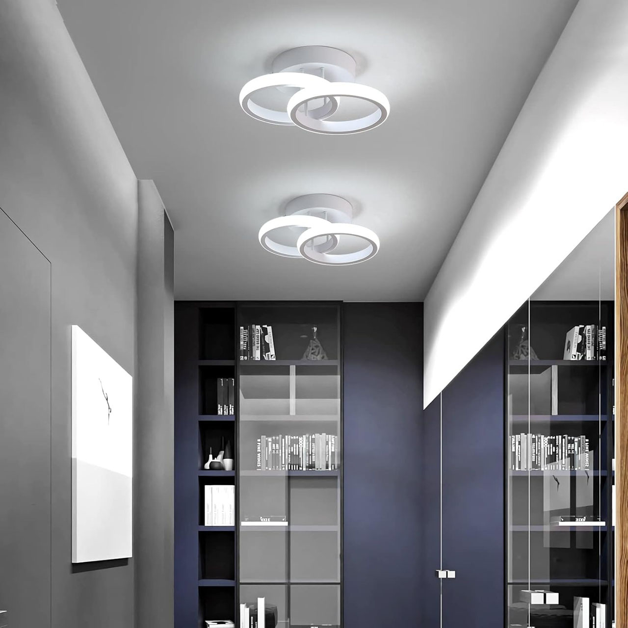 Lustră LED modernă cu 2 cercuri, 20W, CCT, lumină caldă/neutră/rece, albă