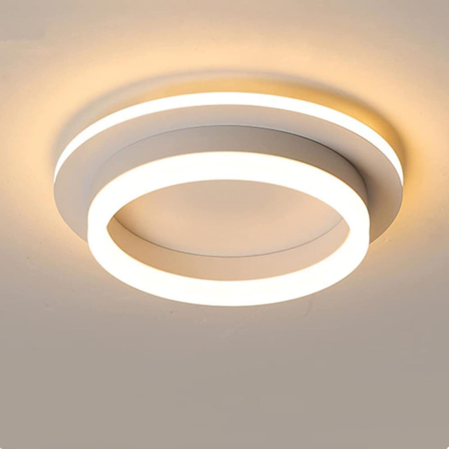 Lustre LED LBZ-00576 01 Lustră LED rotundă cu 2 cercuri, 20W, lumină caldă/neutră/rece, albă