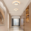 Lustre LED LBZ-00579 07 Lustră LED cu 2 pătrate, 20W, lumină caldă/neutră/rece, albă